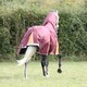 image 2 of Highlander Plus Combo Neck 100g Horse Turnout Rug - Maroon - 6´ 9"