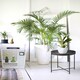 image 2 of Black Round Side Table