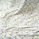 image 9 of The Gilded Bird Wild Bee Bamboo Baby Blanket