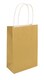 image 1 of Gold Bag with Handle