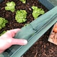 image 5 of GardenSkill Pop Up Strawberry & Salad Fruit Cage Bird Netting Pest Protection Cover 1.25m x 0.75m H