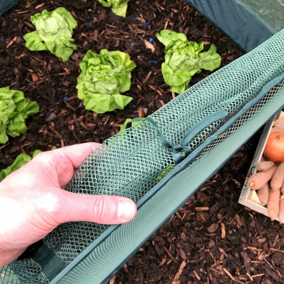 image 1 of GardenSkill Pop Up Strawberry & Salad Fruit Cage Bird Netting Pest Protection Cover 1.25m x 0.75m H