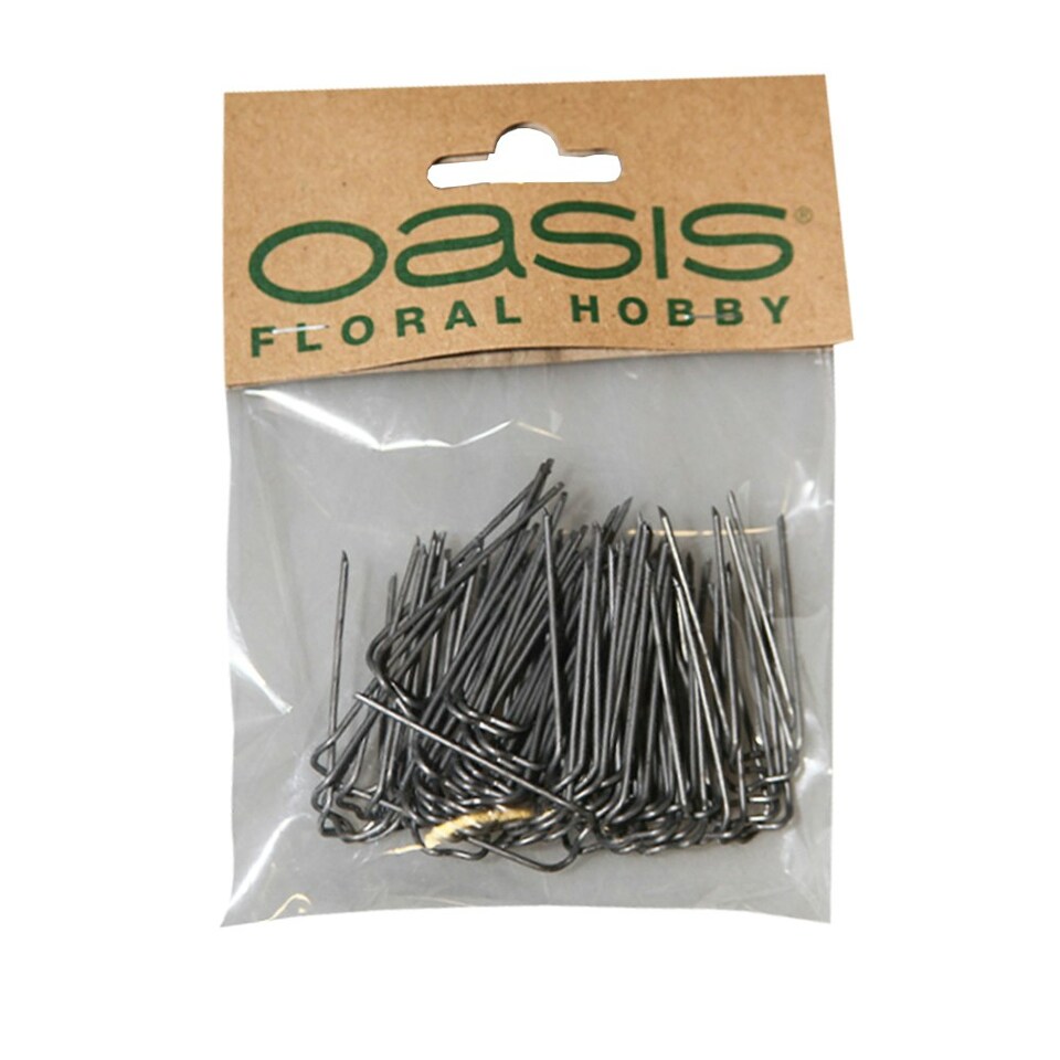 Oasis German Pins - Black - 4cm