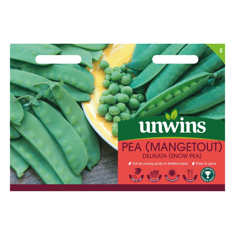 image 1 of Pea (Mangetout) Delikata | Multi | Green