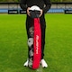 image 5 of Hy-Pro 5 Ball Tube Bag | Football/Netball Training Carrier Red