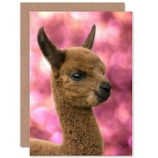 Cute Alpaca Llama Baby Animal Photograph Greeting Card