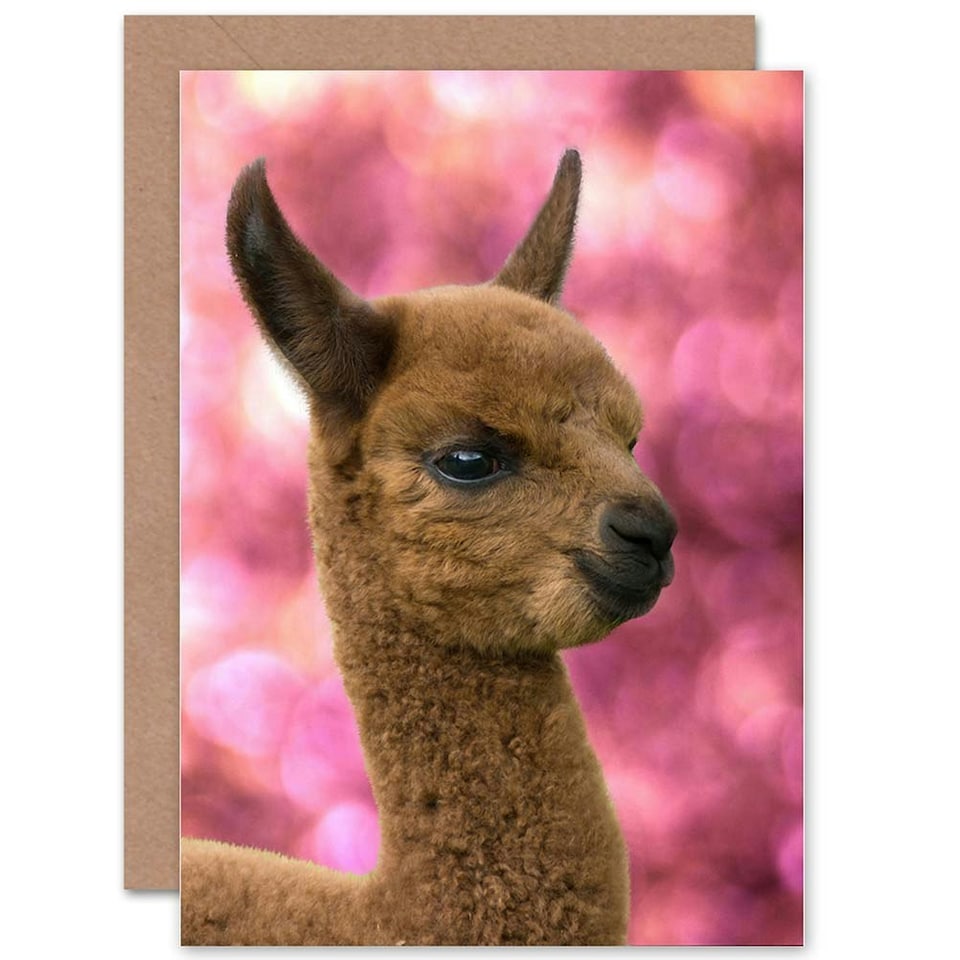 image 1 of Cute Alpaca Llama Baby Animal Photograph Greeting Card