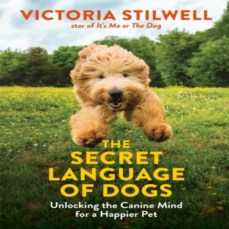 The Secret Language Of Dogs
