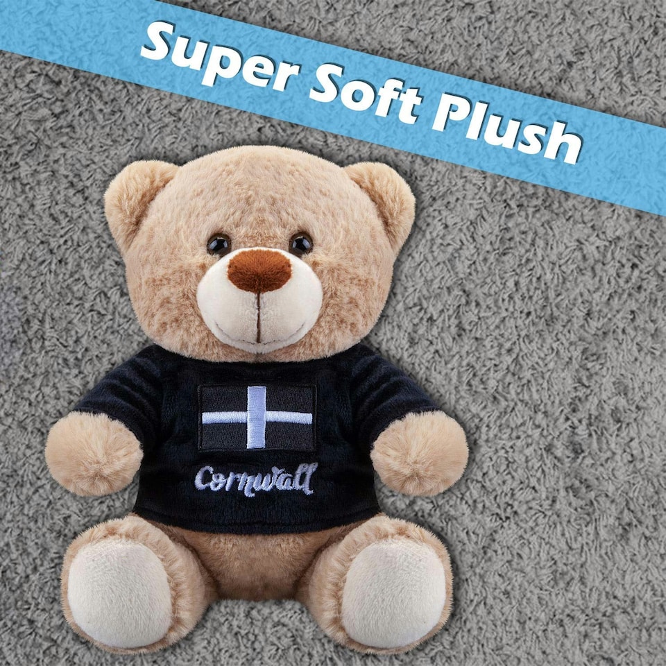 image 1 of Cornwall Bear Soft Toy Cute Plushie Huggable Cuddly Stuffed Toy Gift 20cm Black