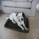 image 3 of Rosewood Green Water Resistant Crate Mattress - Small