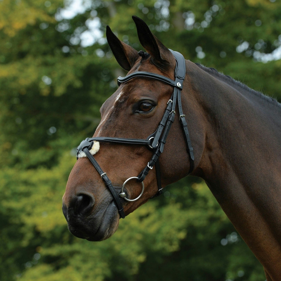 image 1 of Collegiate Comfitec Grackle Leather Horse Bridle - Black - Full