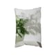 image 1 of Chamaedorea Cushion
