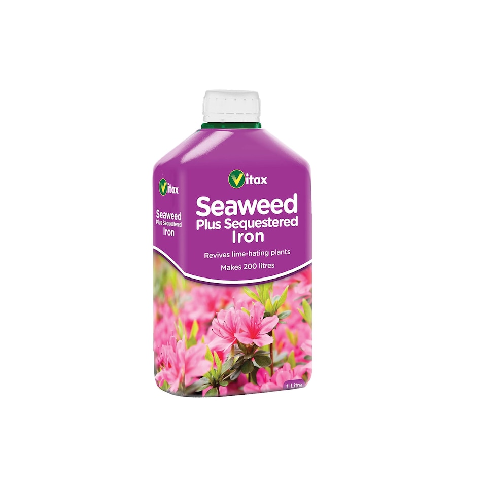 image 1 of Vitax Seaweed Plus with Sequestered Iron 500ml Liquid Fertiliser for Acid-Loving Plants Lawns & Garden Growth Tonic