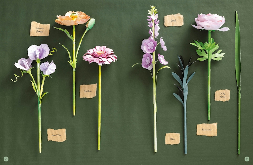 image 1 of The Bouquet in a Book