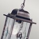 image 3 of Wexford 1 Light Outdoor Ceiling Chain Lantern Black Silver IP43, E27