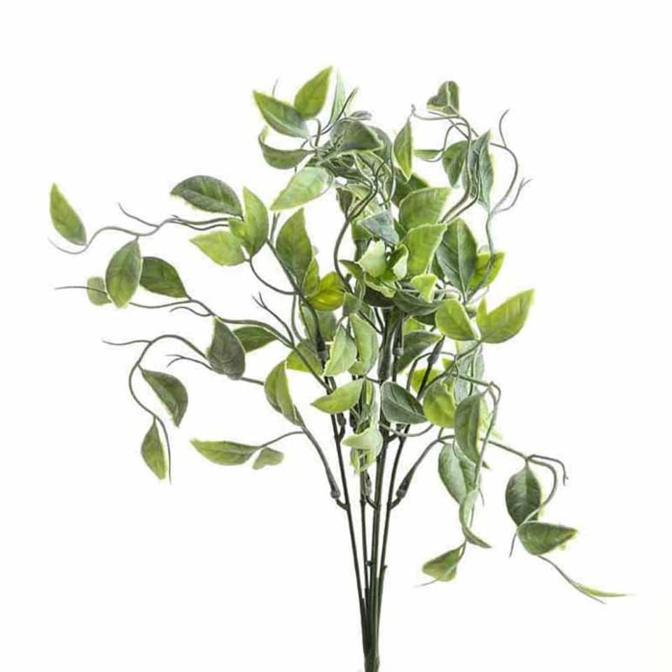image 1 of Shoots Greenery Bunch Artificial Plant - Fabric/Plastic - L8 x W8 x H40 cm - Green