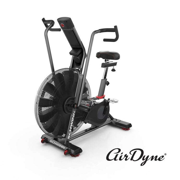 Schwinn Airdyne Ad8I Bike