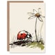 image 1 of Ladybird Daisy Flower Drawing Nature Woman Her Birthday Card