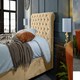 image 5 of Veneta Plush Beige Double Bed Frame - Beige