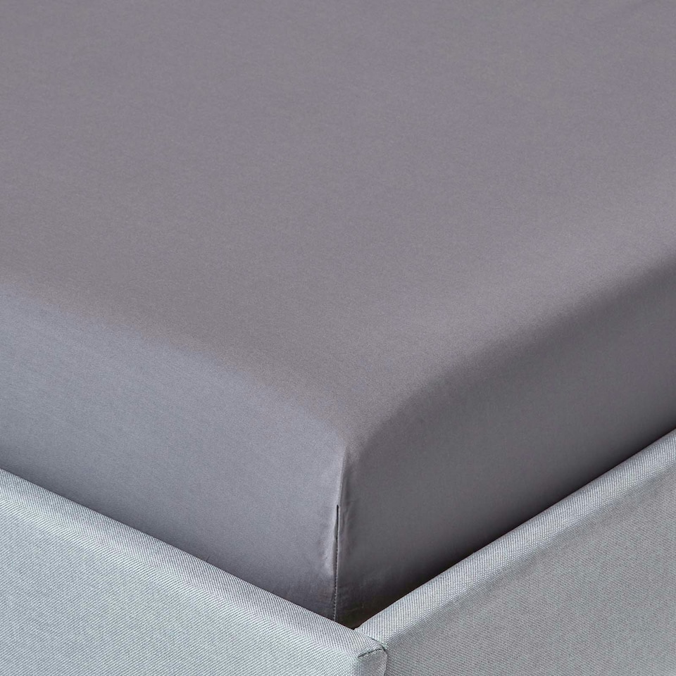 image 1 of Homescapes Dark Grey Egyptian Cotton Fitted Sheet 200 TC, Single Grey | Single