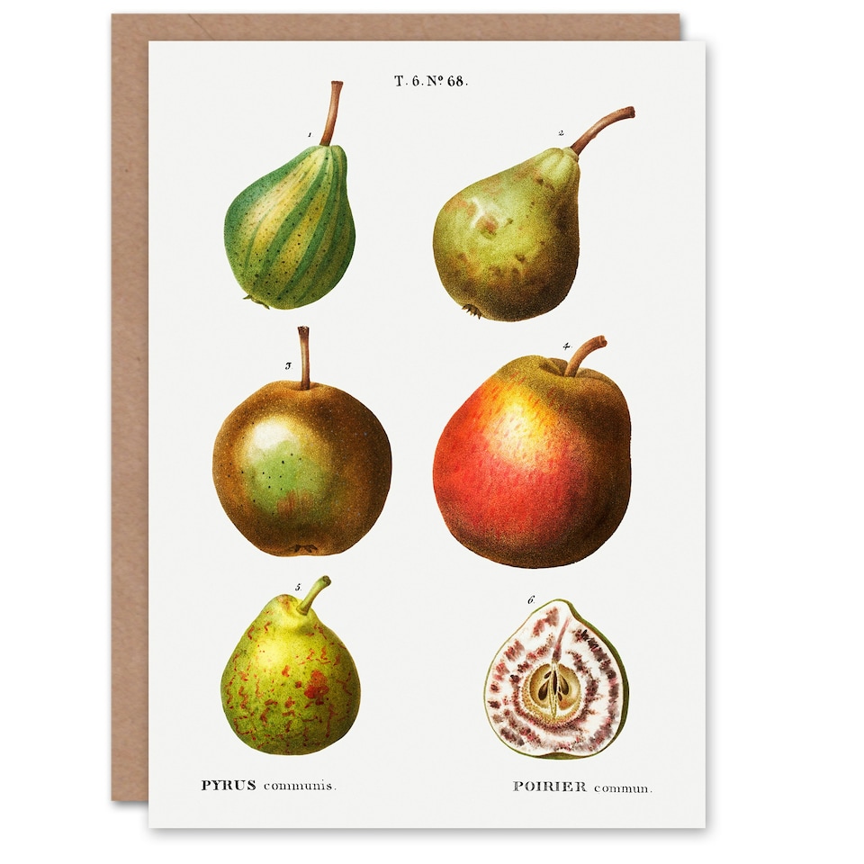 image 1 of Pierre-Joseph Redouté Art Card Pear Varieties Vintage Illustration