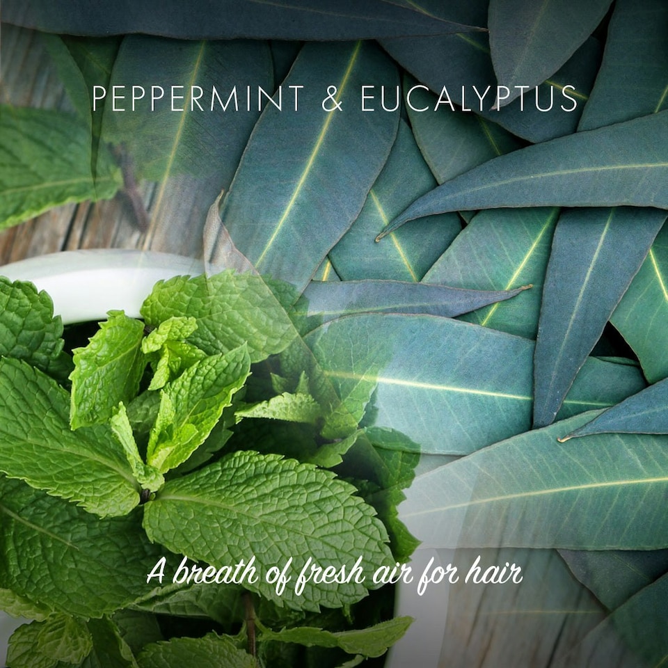 image 1 of Friendly Soap - Conditioner Bar - Peppermint & Eucalyptus - 90g
