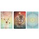 image 4 of Colette Baron-Reid The Spirit Animal Oracle Cards - Multicoloured - One Size