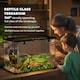 image 8 of PawHut Glass Reptile Terrarium Habitats for Lizards, Frogs, Snake 50 x 30 x 35cm