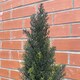 image 5 of 120cm Artificial Natural Look Cedar Tree