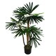 image 1 of Raphis Palm Artificial Tree 100cm - Realistic plant by Botanik | Green | 3ft