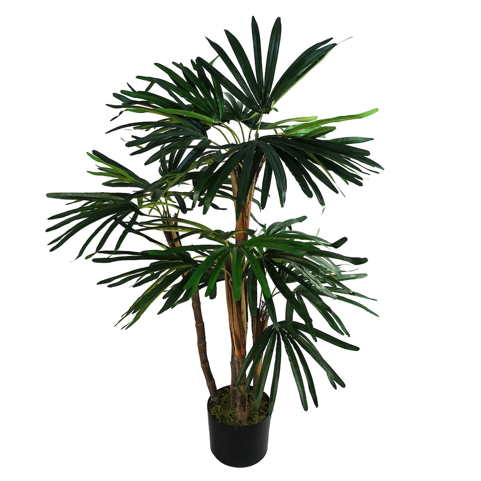 image 1 of Raphis Palm Artificial Tree 100cm - Realistic plant by Botanik | Green | 3ft
