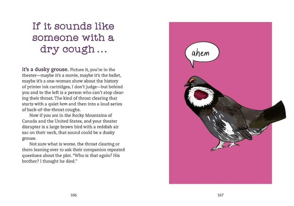 image 1 of Bird Talk Humour Gift Book