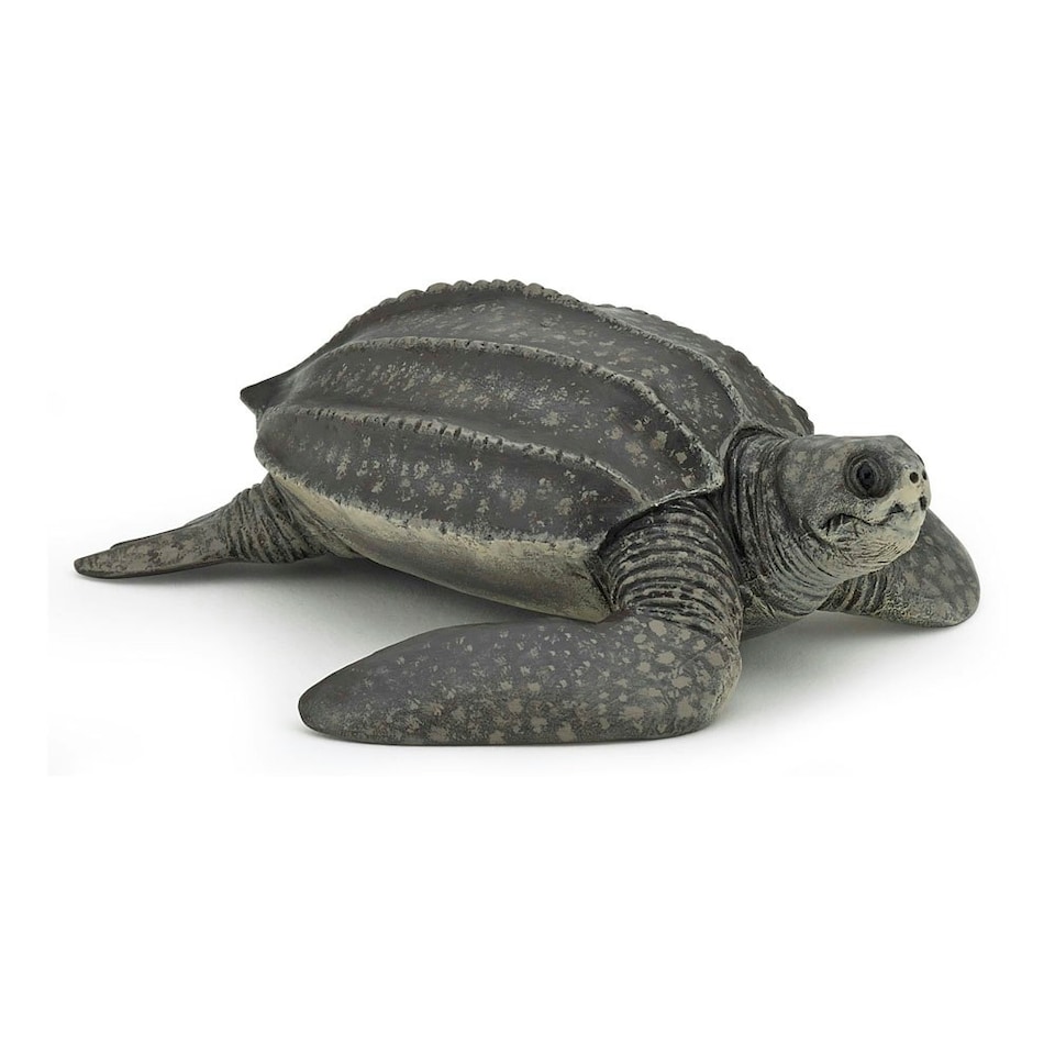 image 1 of PAPO Marine Life Leatherback Turtle Toy Figure