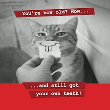 You're How Old? Cat Birthday Card