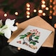 image 4 of James Bolton Art Card Robin Bird and Wild Strawberry Plant