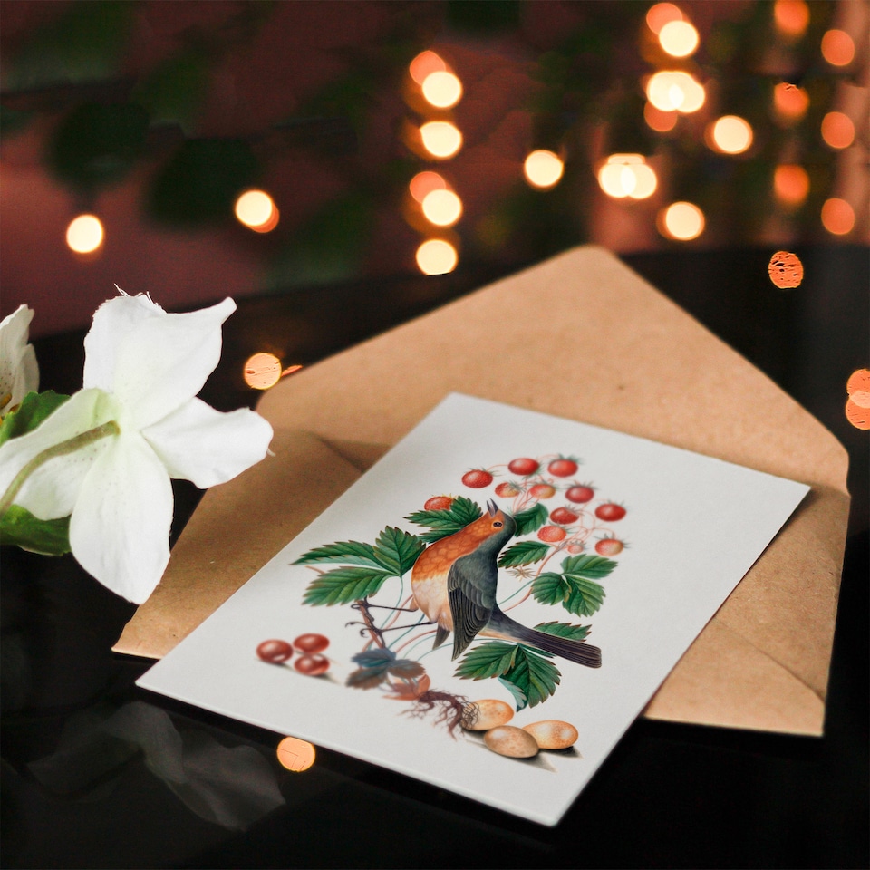 image 1 of James Bolton Art Card Robin Bird and Wild Strawberry Plant