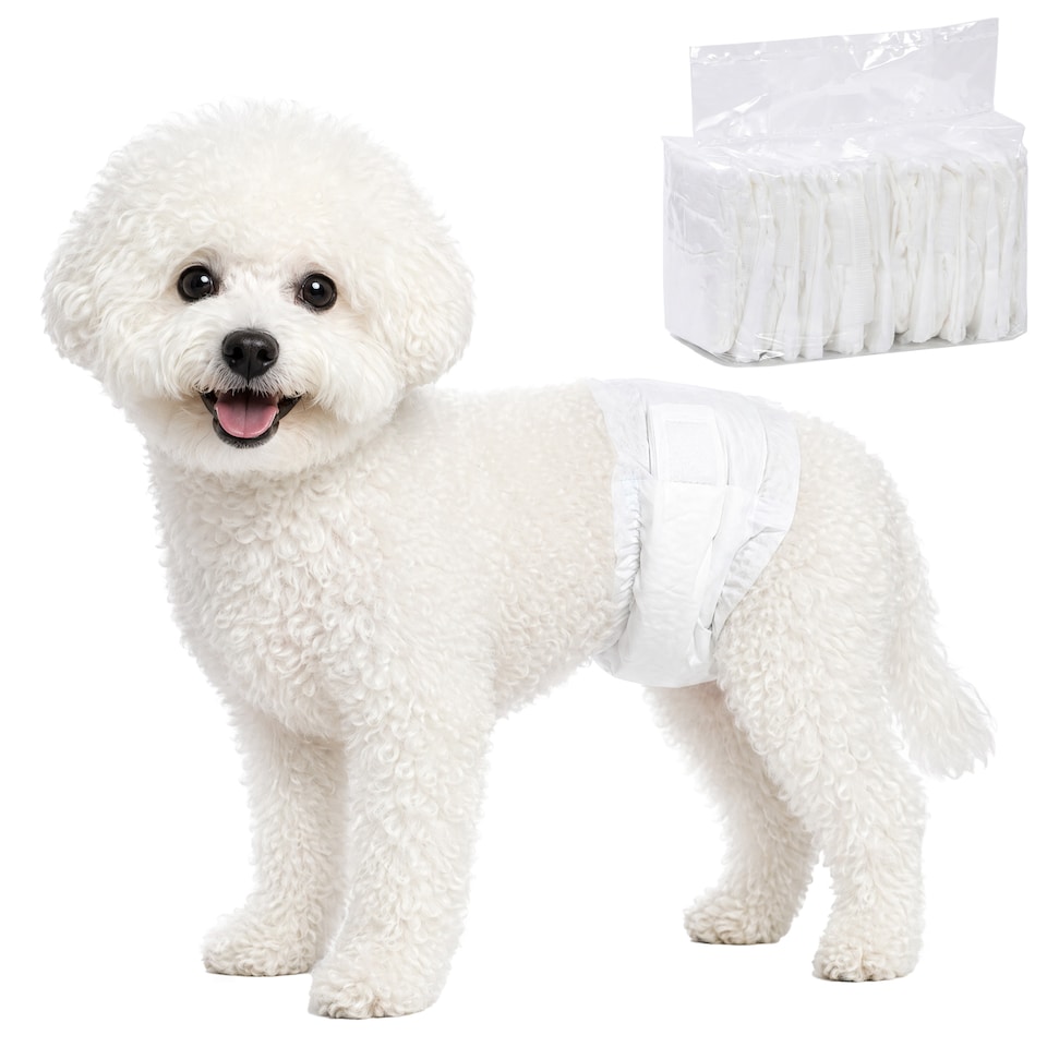 image 1 of PawHut Dog Diapers Super Absorbent for Male Dogs Size M