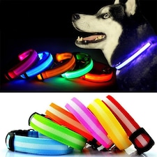 Light Up Dog Collar - LED - Bunty Green | M