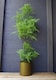image 2 of Artificial Fern Tree Plant Moss 150cm Trees Plant