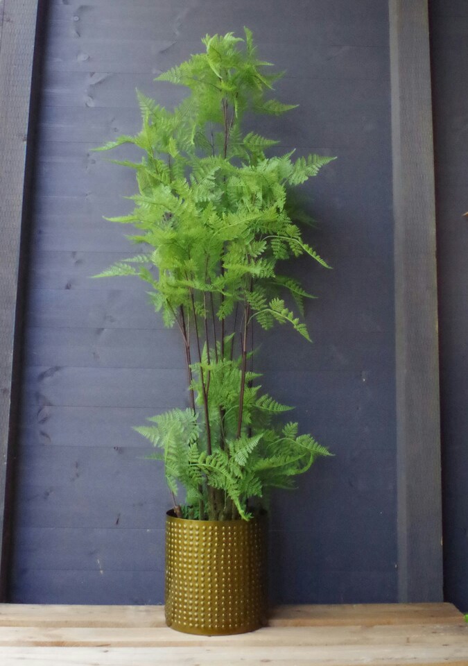 image 1 of Artificial Fern Tree Plant Moss 150cm Trees Plant
