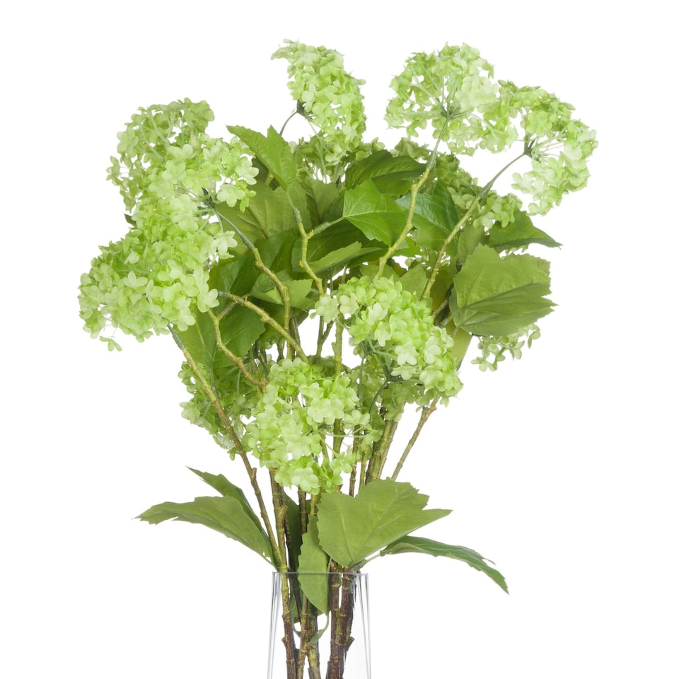 image 1 of Hill Interiors Faux Viburnum Spray - Green - 66cm