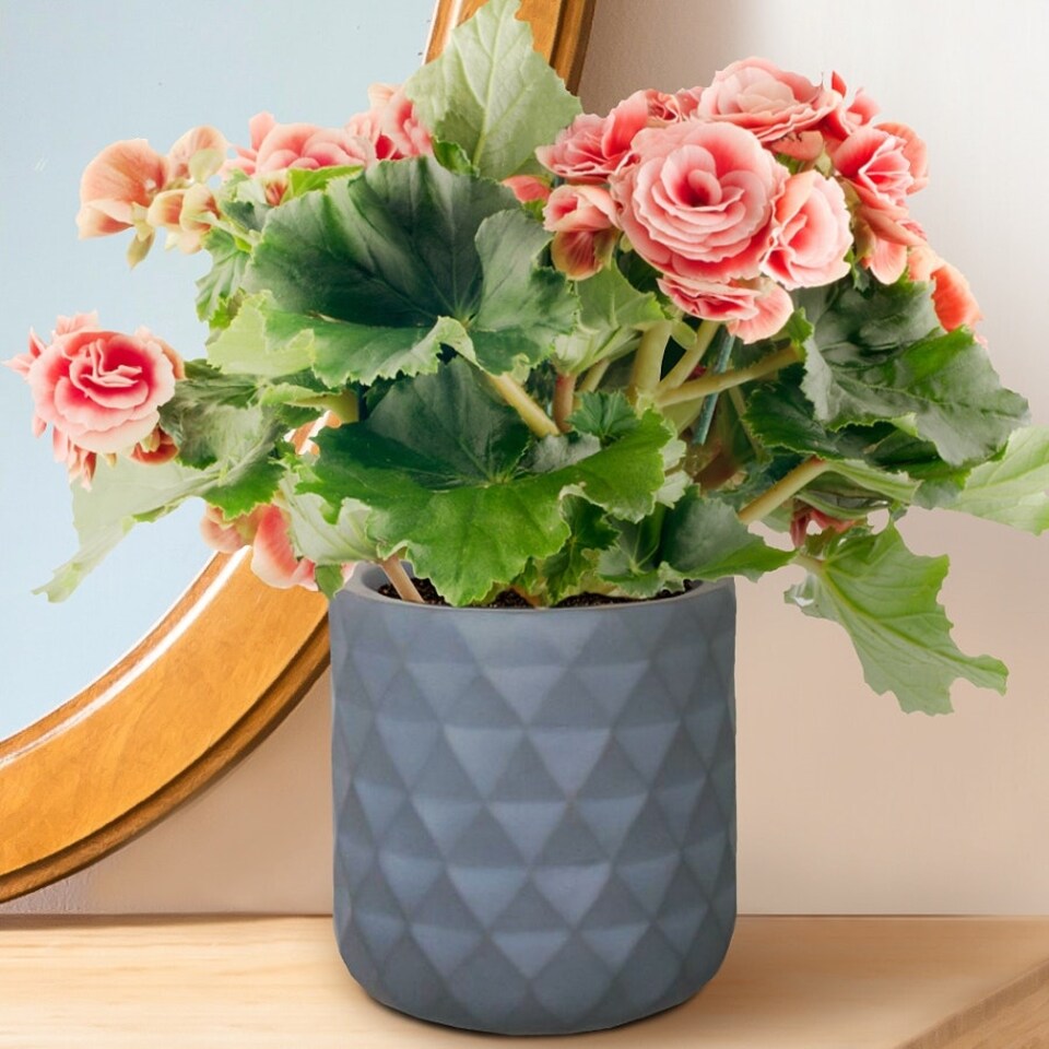 image 1 of Diamond Style Grey Cylinder Round Plant Pot also can be used as Hanging Planter Indoor D17.5 H17.5 cm, 4.2 ltrs Cap.