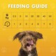 image 5 of Pet Munchies Chicken with Blueberry Sticks Dog Treats, Healthy Grain Free Dog Chews with Natural Real Meat, Low in Fat and High in Protein 80g (Pack of 8)