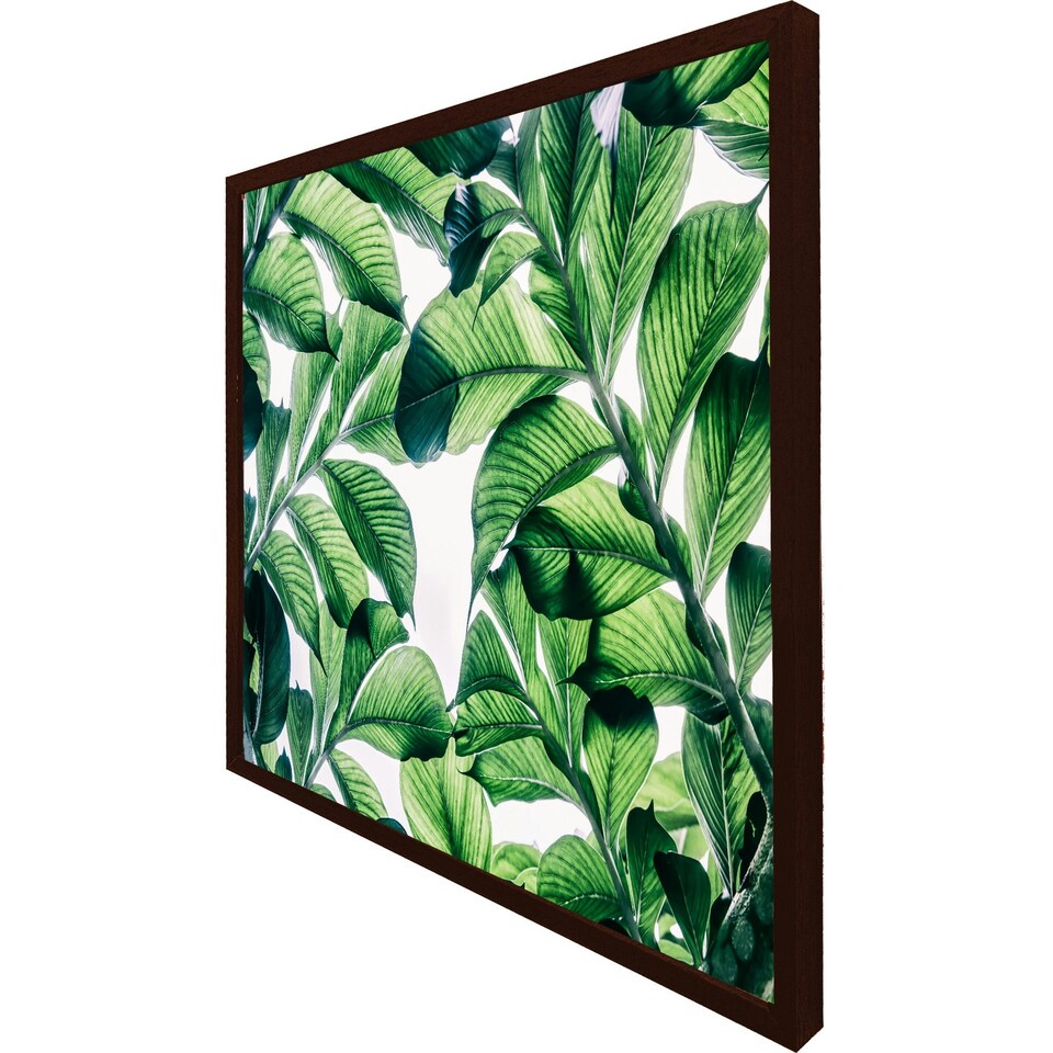 image 1 of Tropical palm (Picutre Frame) Brown | Oak | XS