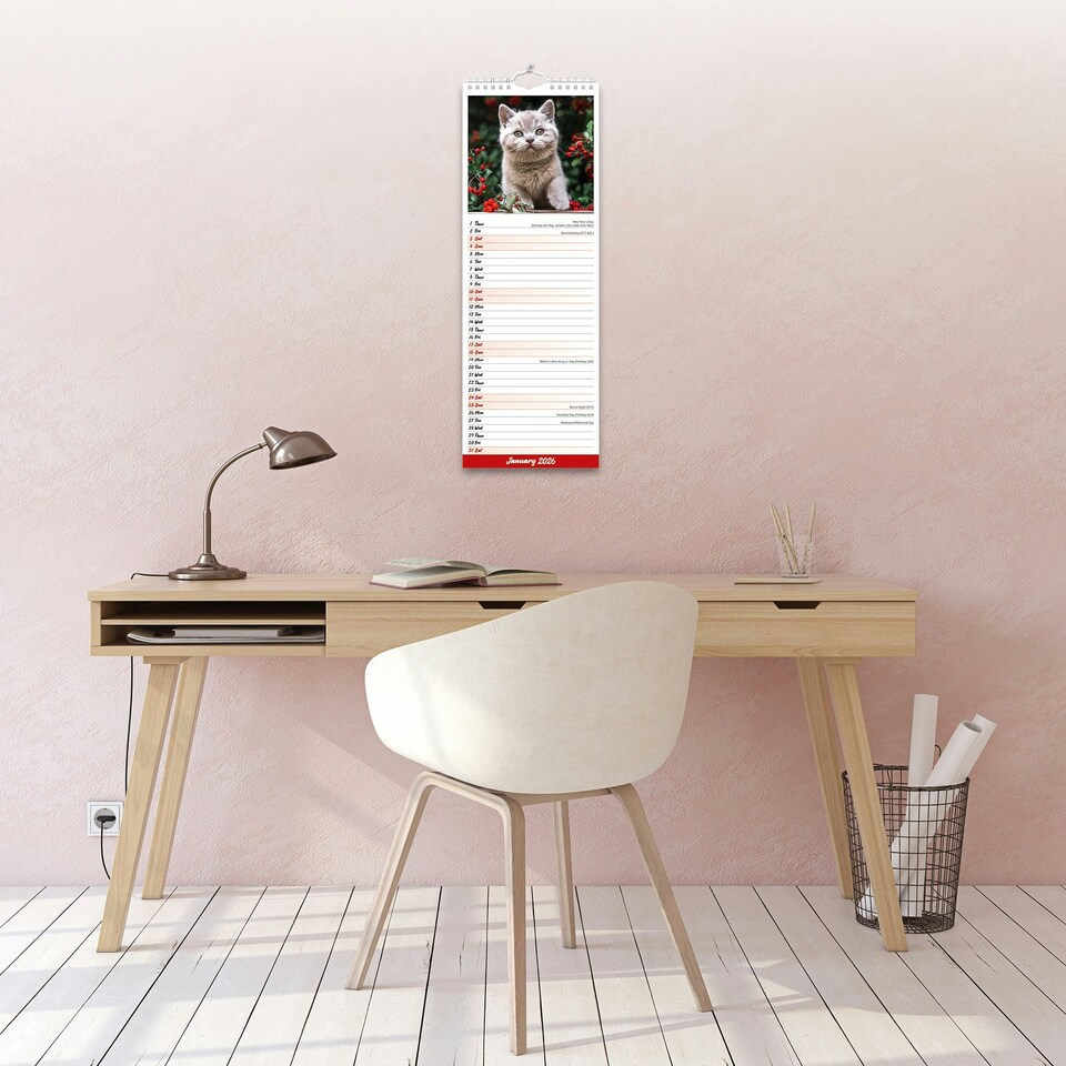 image 1 of Kittens Slim 2026 Calendar | Slimline Wall Calendar | Cat Gift | Plastic Free Packaging | by Avonside Publishing [Calendar] Avonside Publishing Ltd
