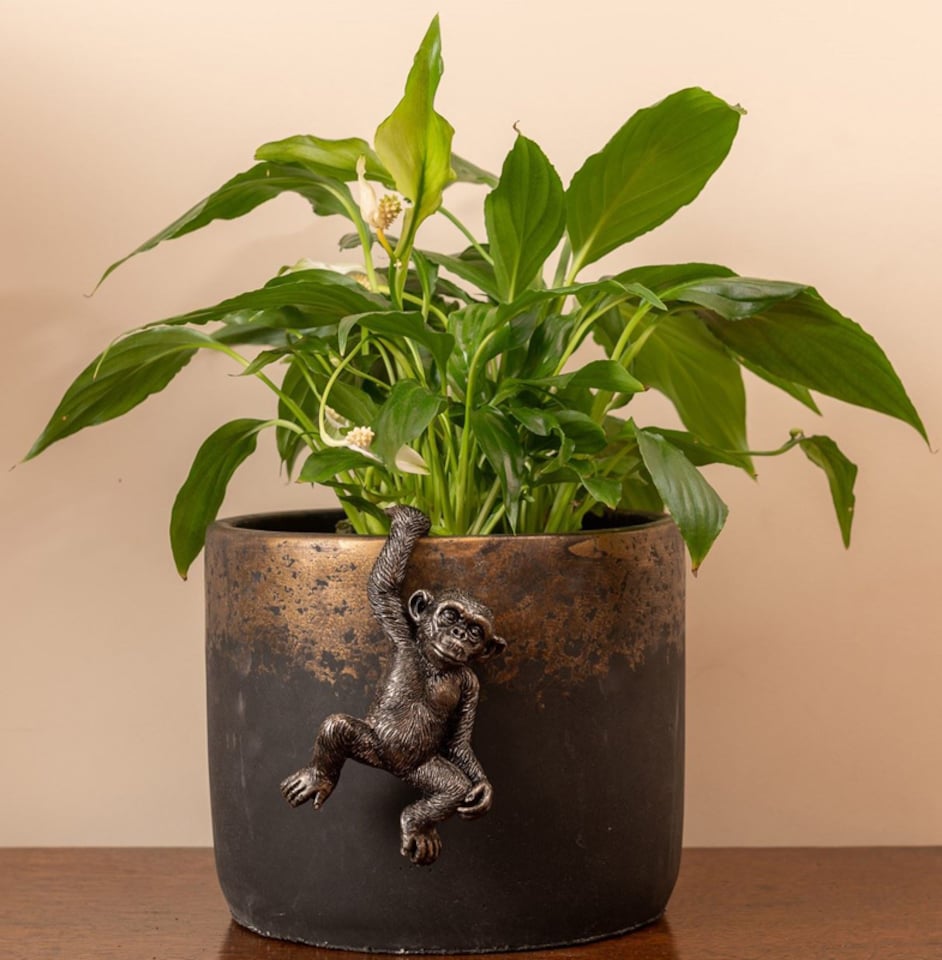 image 1 of Chimpanzee Plant Pot Hanger - L11.5 x W7 x H4.5 cm