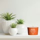 image 2 of 85G Salted Caramel Scented Coloured Jar Candle