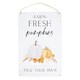 image 1 of Something Different Farm Fresh Pumpkins Metal Plaque - White/Black/Orange - One Size