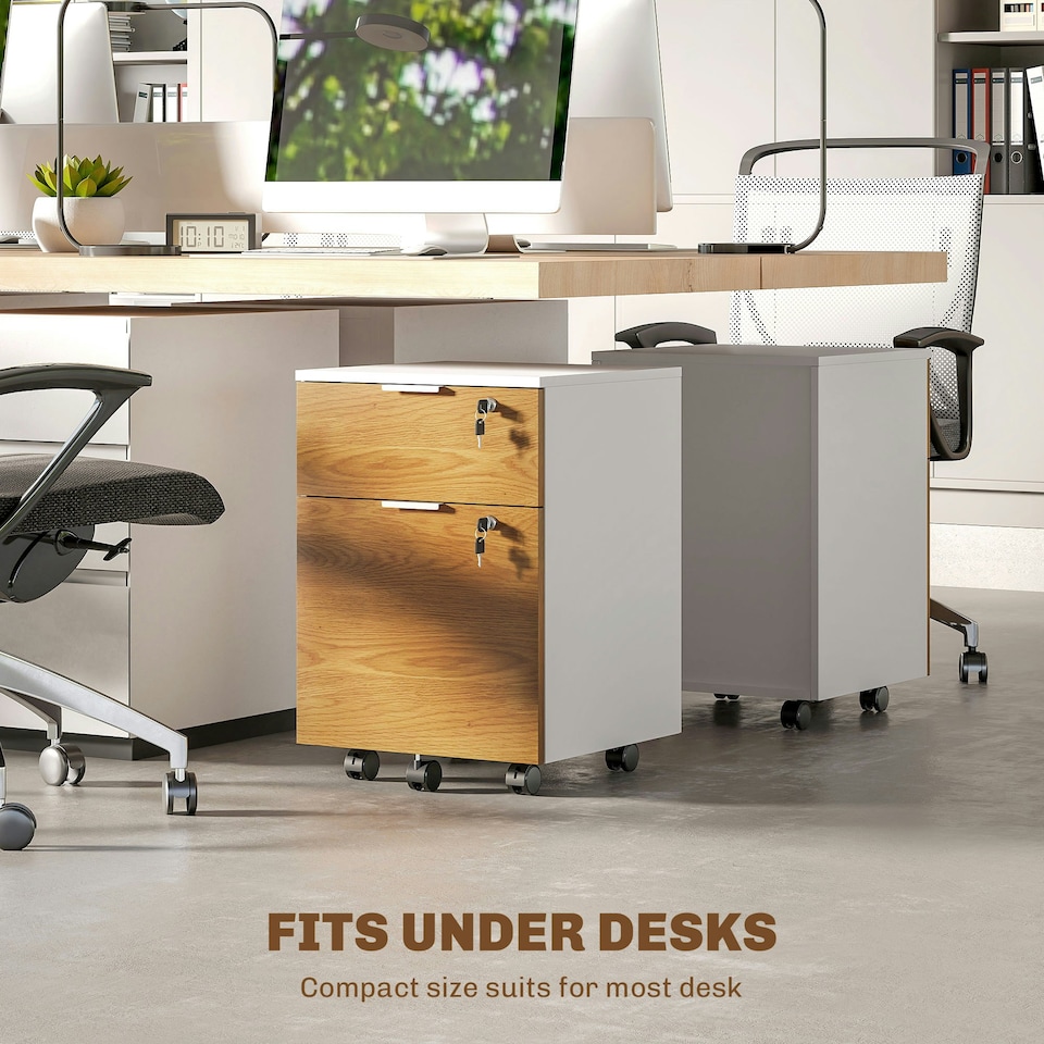 image 1 of HOMCOM 2 Drawer Filing Cabinet with Adjustable Hanging Bars for A4 and Letter