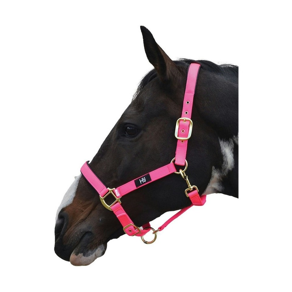 Hy Grand Prix Head Collar - Hot Pink - Full
